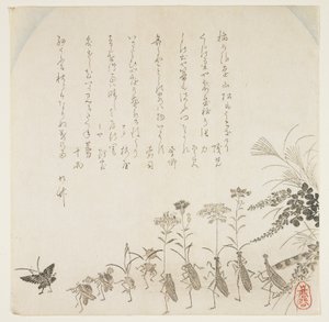Autumn flowers and singing insects by K II Skoku
